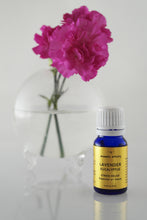 aromatic artistry - Stress Relief - Lavender || Eucalyptus Essential Oil Blend
